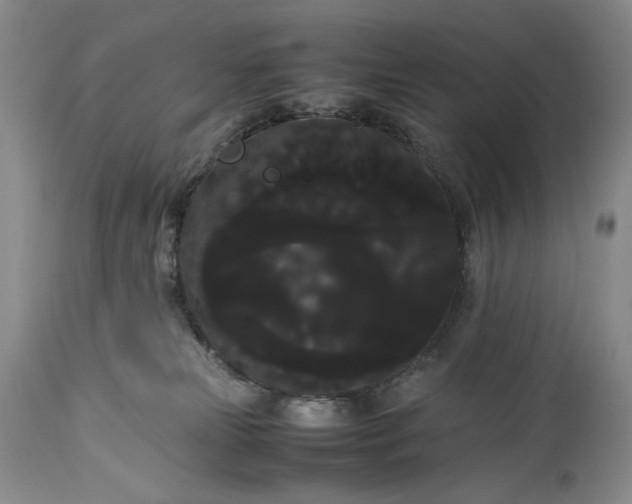 X0000114190181200910231329