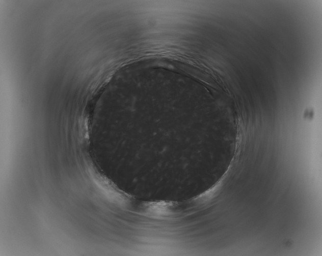 X0000114190182200910231329