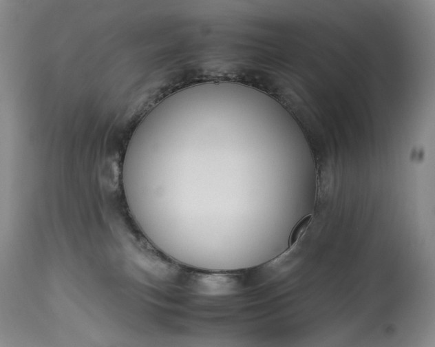 X0000114190183200910231329