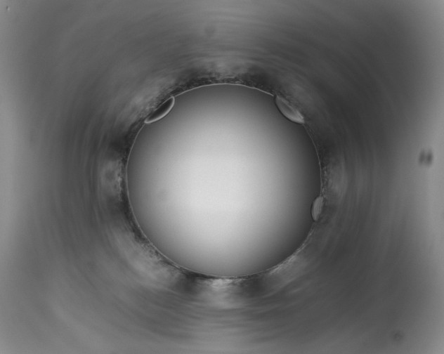 X0000114190184200910231329