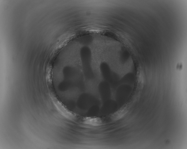 X0000114190185200910231329