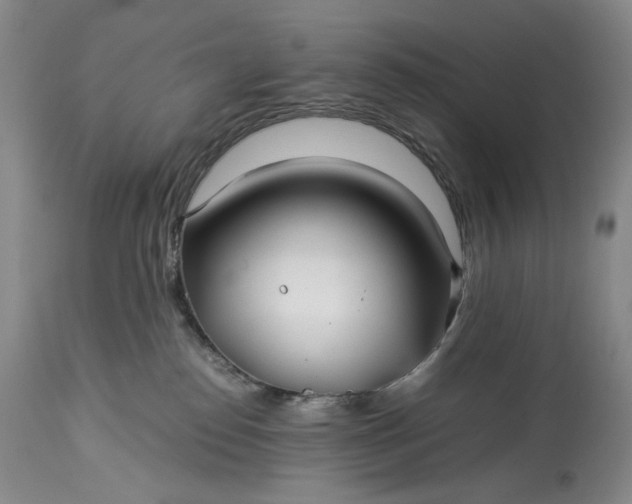 X0000114190186200910231329