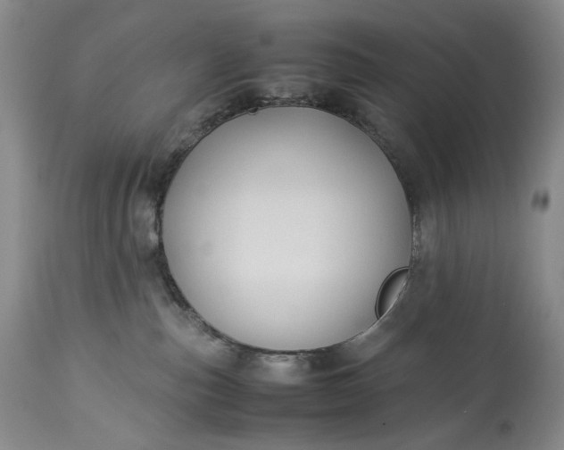 X0000114190187200910231329
