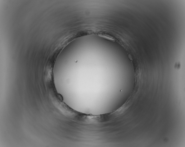 X0000114190188200910231329
