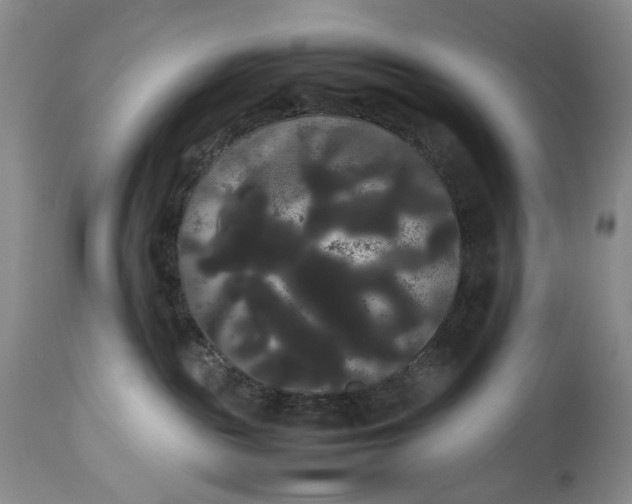 X0000114190189200910231329