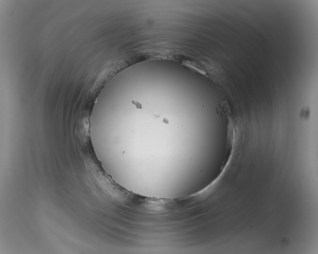 X0000114190190200910231329