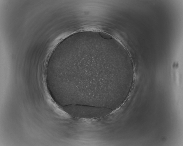 X0000114190193200910231328