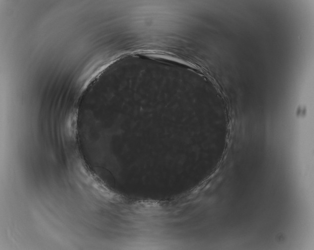 X0000114190194200910231328