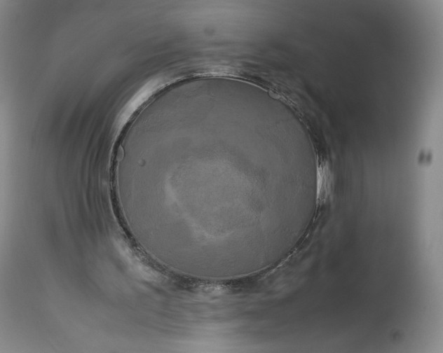 X0000114190195200910231328