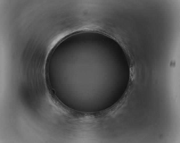 X0000114190196200910231328