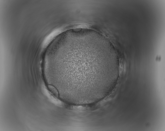 X0000114190197200910231328