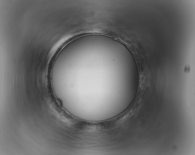 X0000114190200200910231328