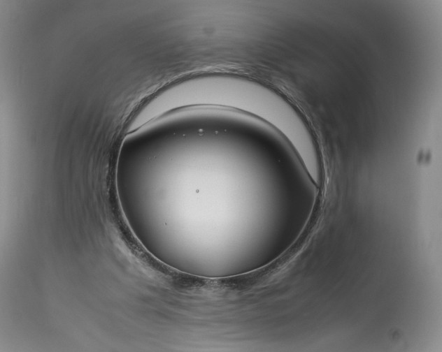 X0000114190201200910231328