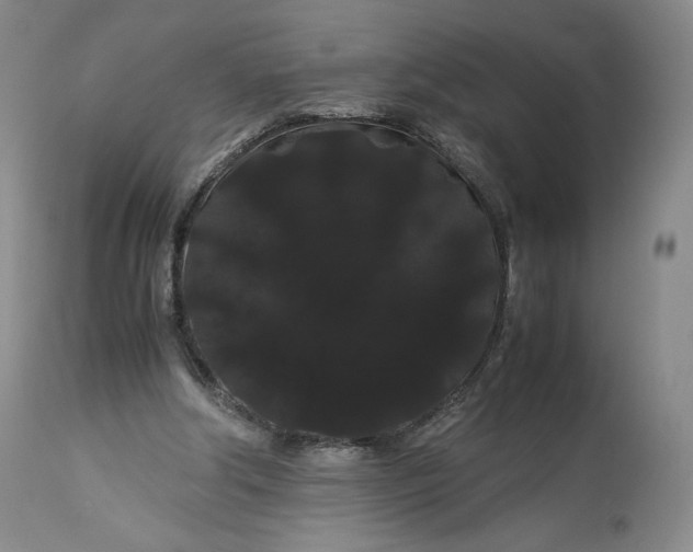 X0000114190202200910231328