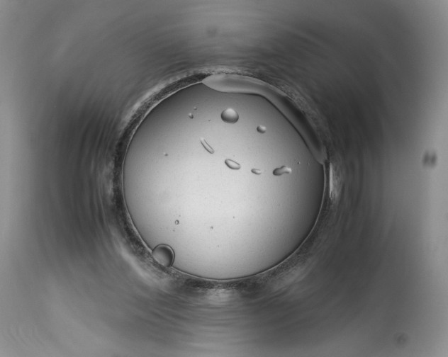 X0000114190204200910231328