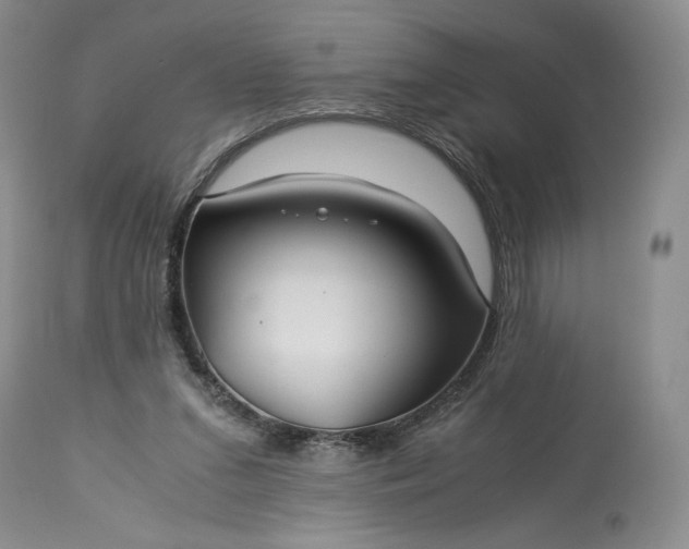X0000114190207200910231328