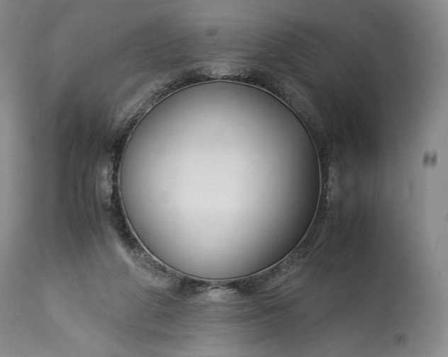 X0000114190210200910231328
