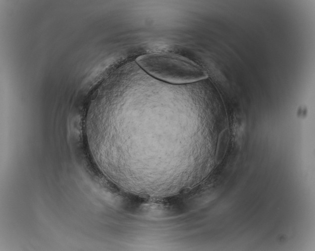 X0000114190211200910231328