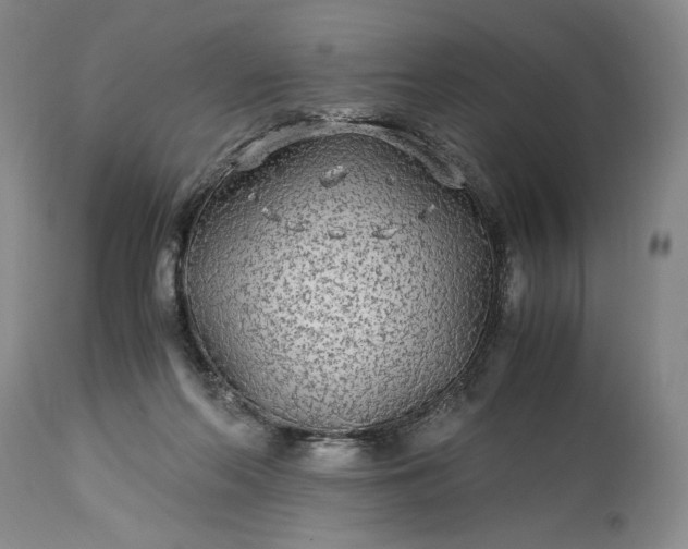 X0000114190214200910231328