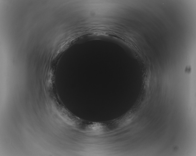 X0000114190219200910231328