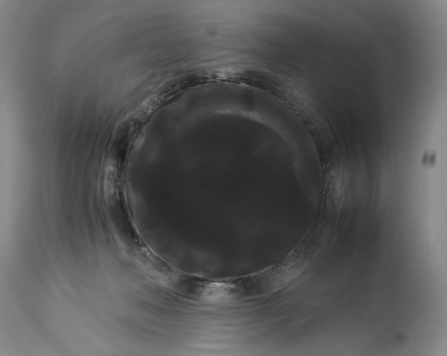 X0000114190222200910231328