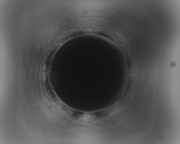 X0000114190223200910231328