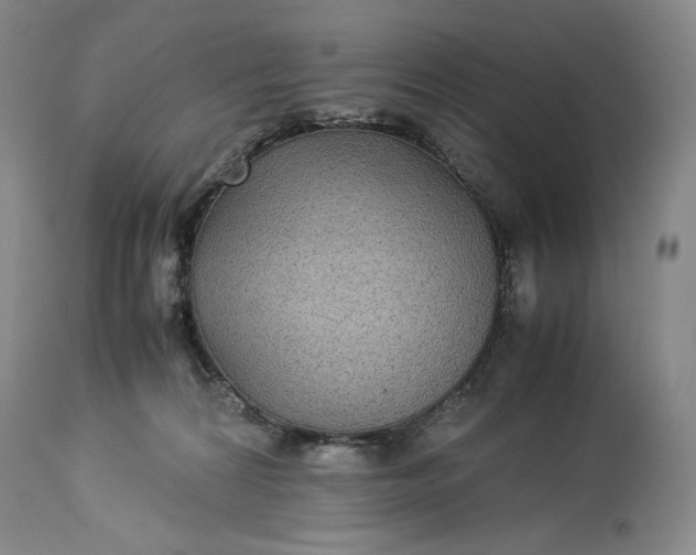 X0000114190224200910231328