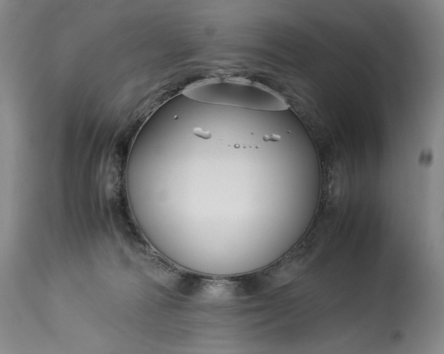 X0000114190226200910231328