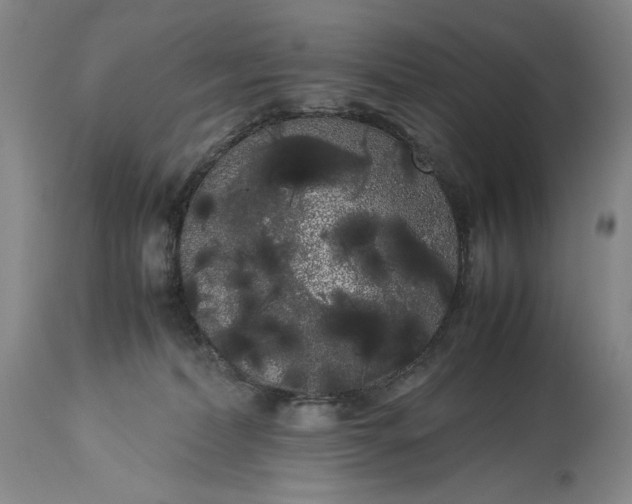X0000114190228200910231328
