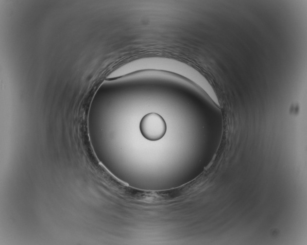 X0000114190229200910231328