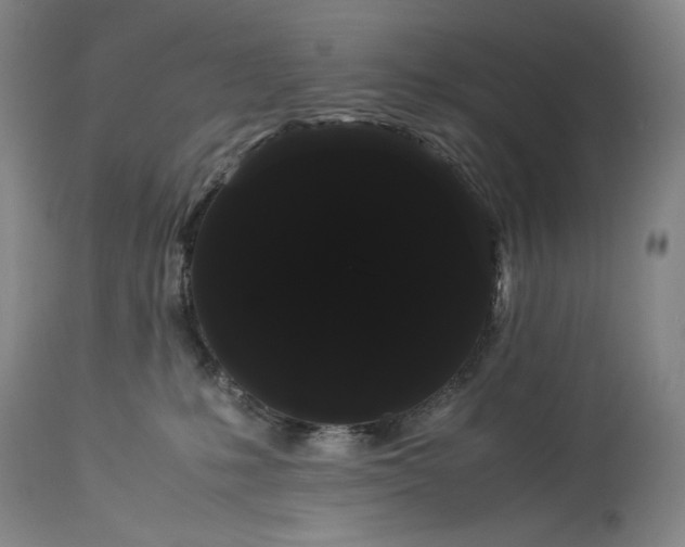 X0000114190231200910231328