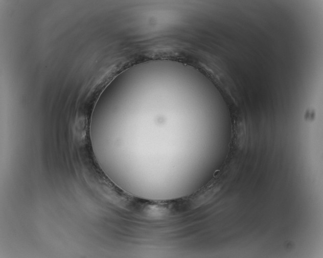 X0000114190232200910231328