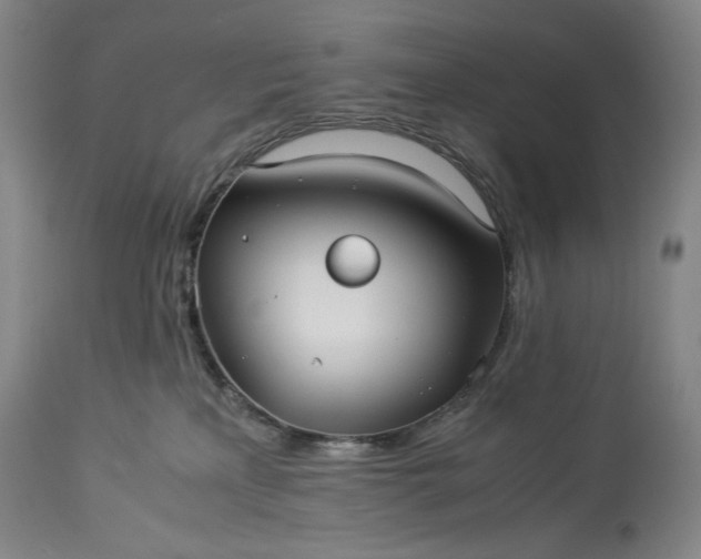 X0000114190233200910231328