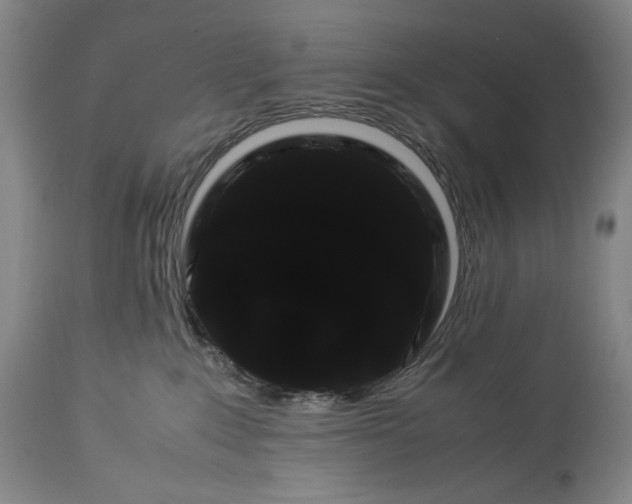 X0000114190235200910231328