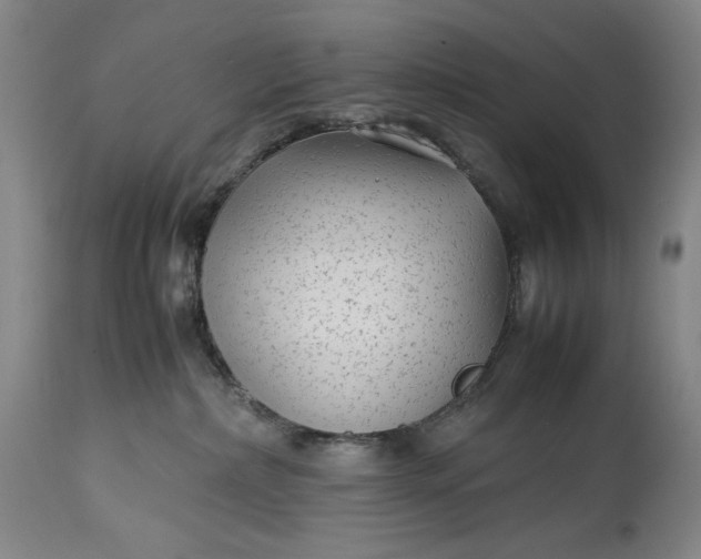 X0000114190236200910231328