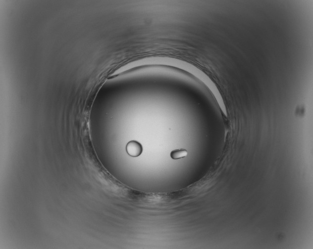 X0000114190237200910231328