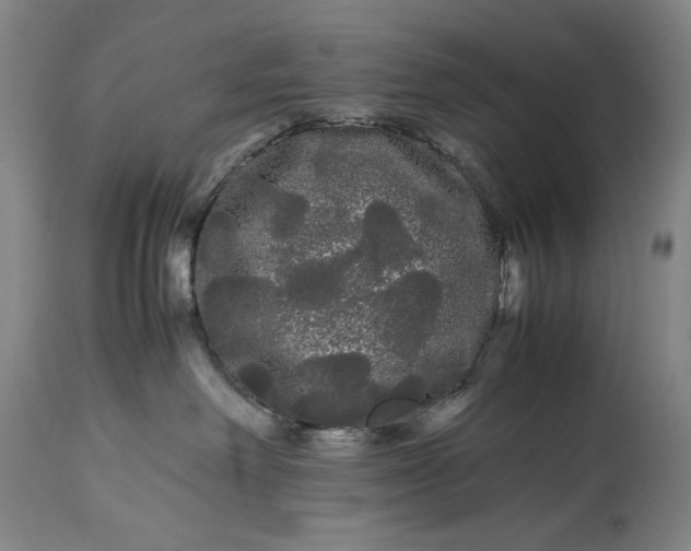 X0000114190238200910231328