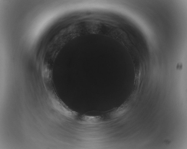 X0000114190239200910231328
