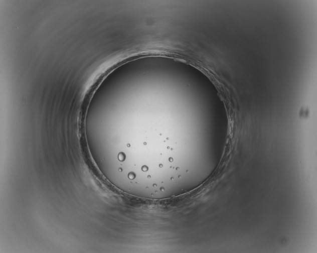 X0000114190244200910231327