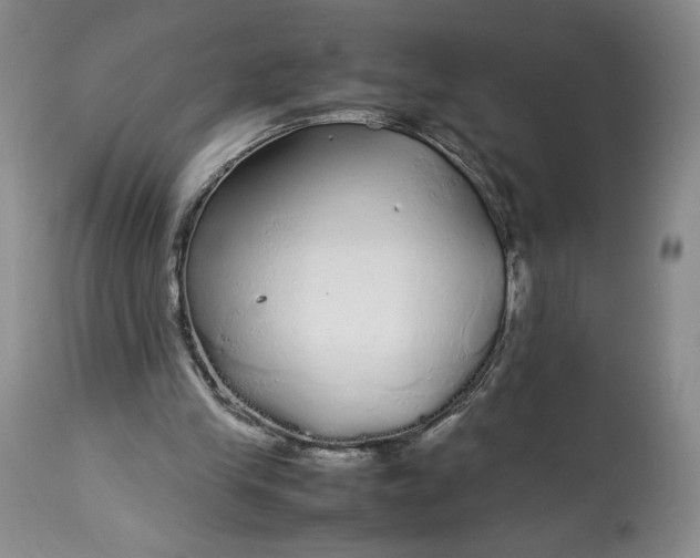 X0000114190245200910231327
