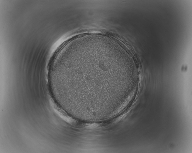 X0000114190246200910231327