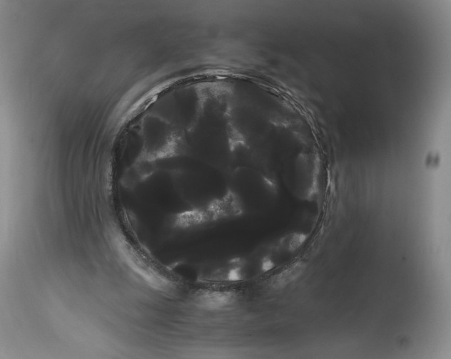 X0000114190247200910231327