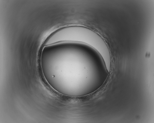 X0000114190248200910231327
