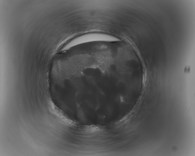 X0000114190249200910231327