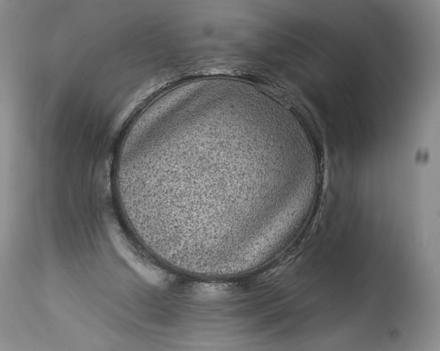 X0000114190250200910231327