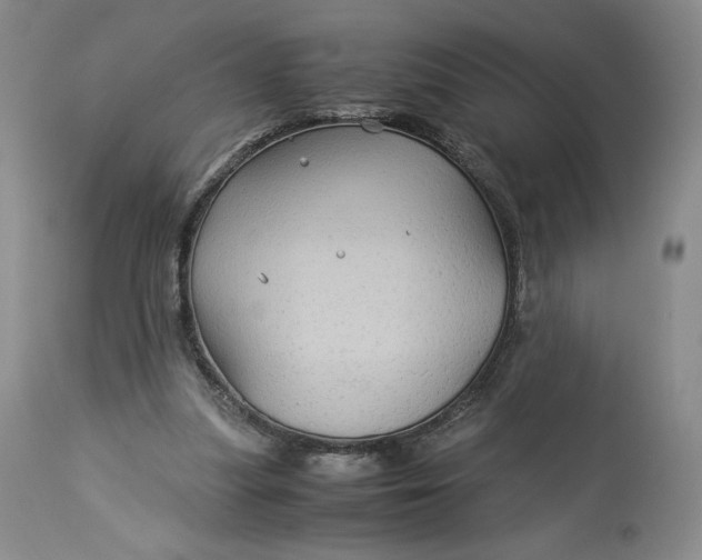 X0000114190251200910231327