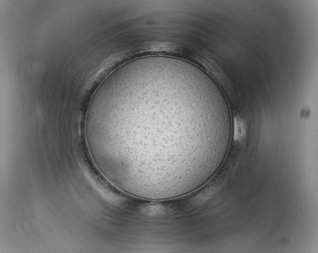 X0000114190253200910231327