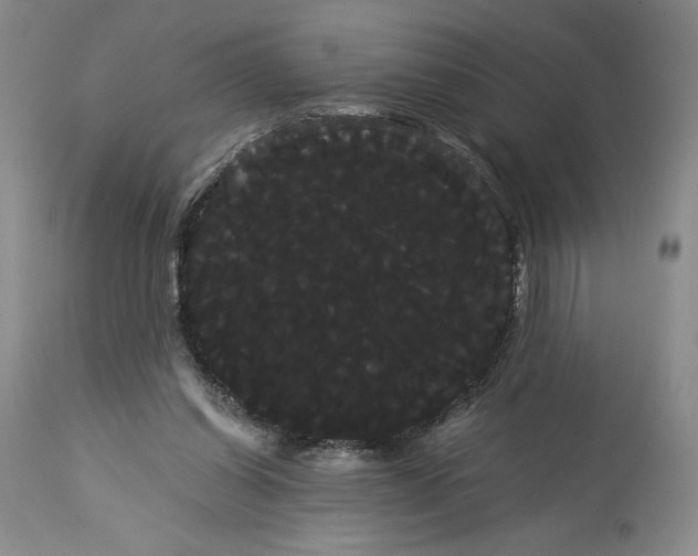 X0000114190254200910231327