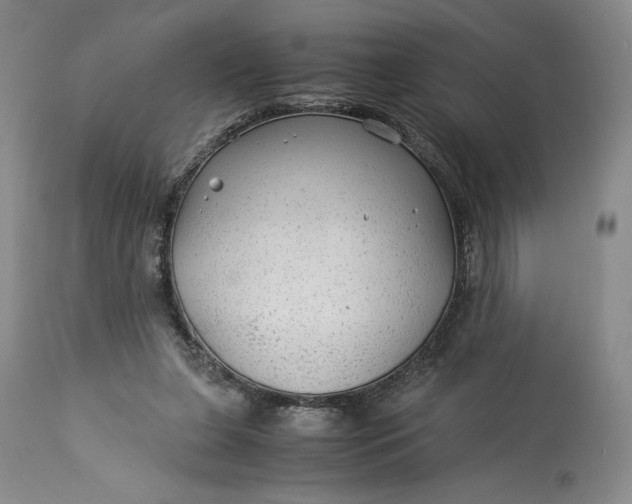 X0000114190255200910231327