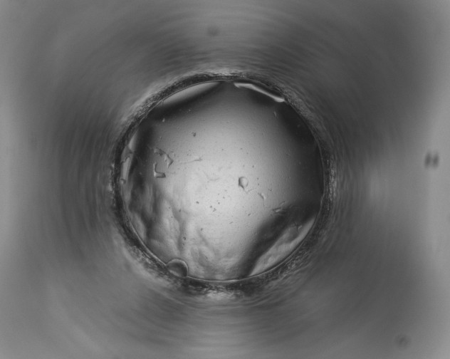 X0000114190256200910231327